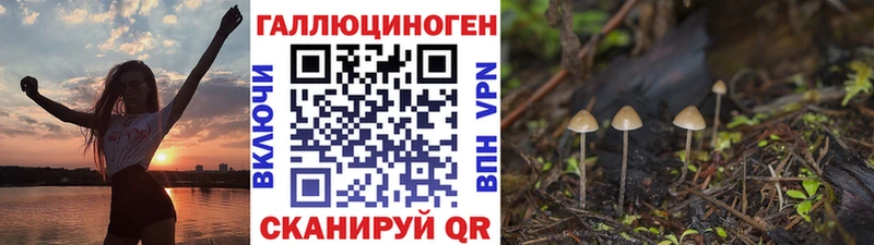 Галлюциногенные грибы мухоморы  mega сайт  Суворов  где купить наркоту 